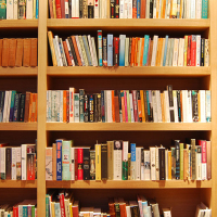 Maloney-House-library-shelving